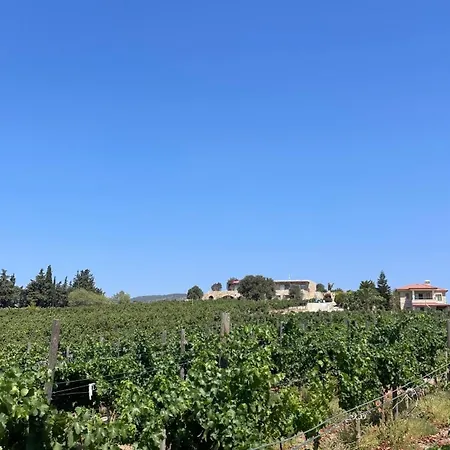 Vineyard - Over 14 Years Old Only Bed & Breakfast 4*