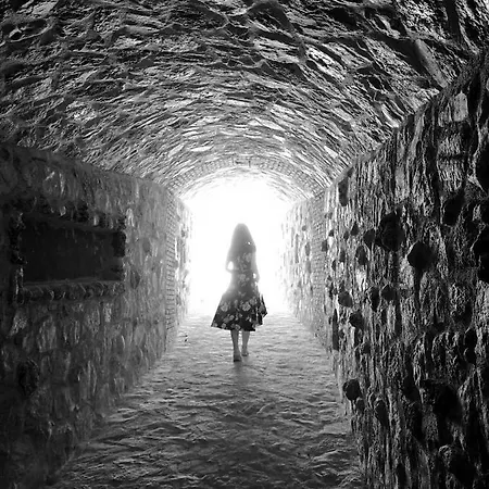 Vineyard - Over 14 Years Old Only 4* Datça