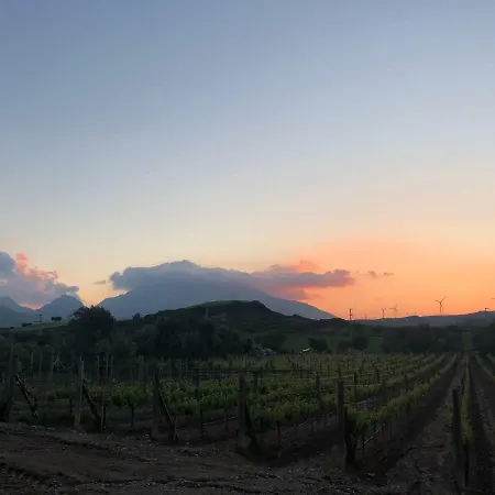 Oda ve Kahvaltı Vineyard - Over 14 Years Old Only