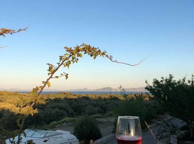 Vineyard - Over 14 Years Old Only Bed & Breakfast