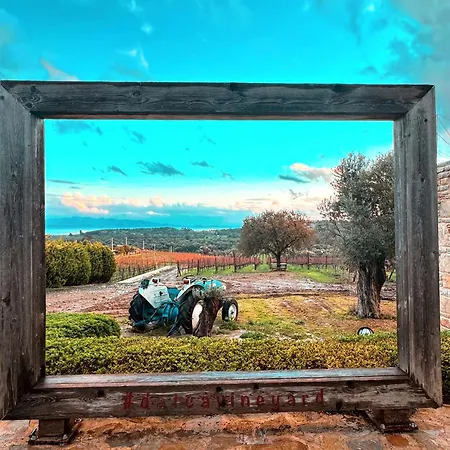 Bed and breakfast Vineyard - Over 14 Years Old Only Datça