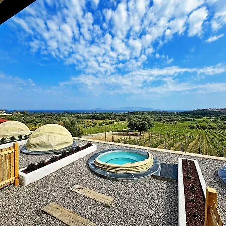 Vineyard - Over 14 Years Old Only ダッチャ