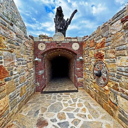 Vineyard - Over 14 Years Old Only