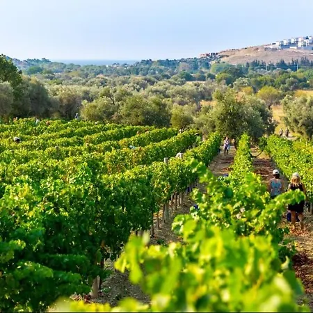 Vineyard - Over 14 Years Old Only Отель типа 