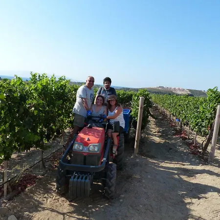 Vineyard - Over 14 Years Old Only Отель типа 