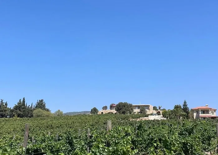 Vineyard - Over 14 Years Old Only Alojamento de Acomodação e Pequeno-almoço 4*