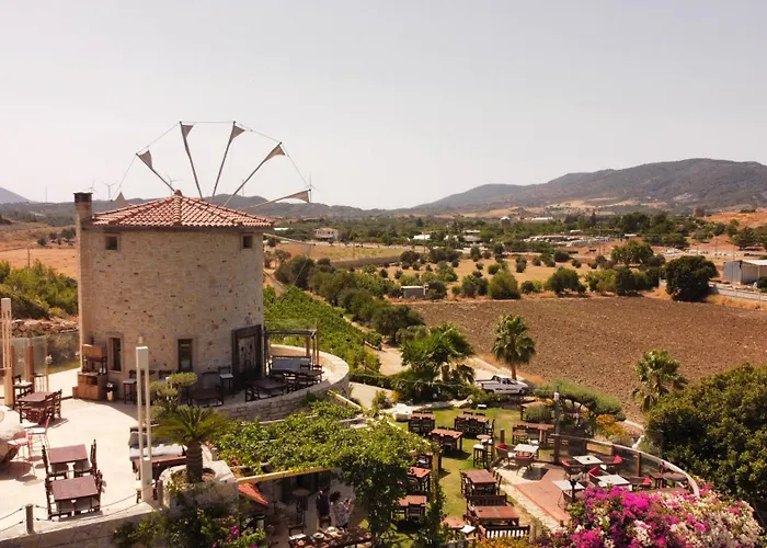 ベッド・アンド・ブレックファスト Vineyard - Over 14 Years Old Only