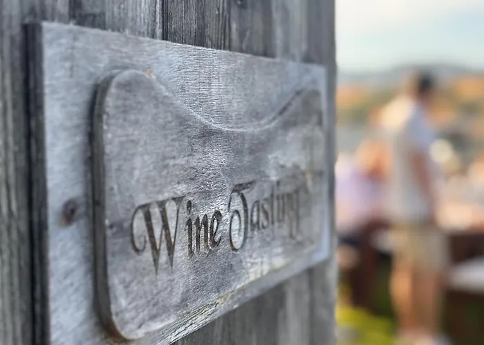 Vineyard - Over 14 Years Old Only