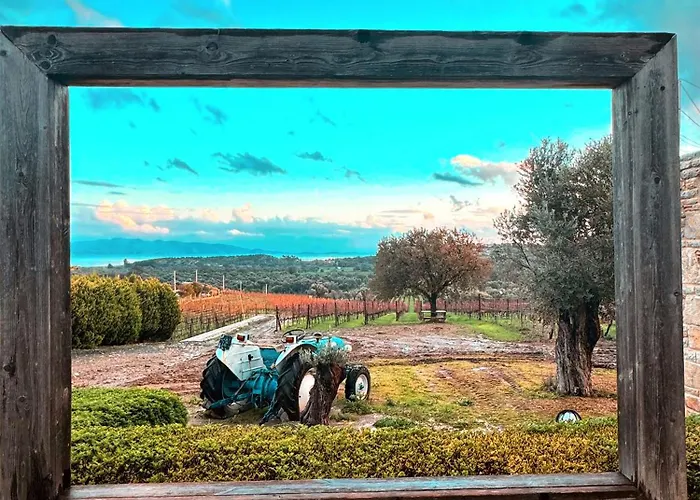 Alojamento de Acomodação e Pequeno-almoço Vineyard - Over 14 Years Old Only Datça