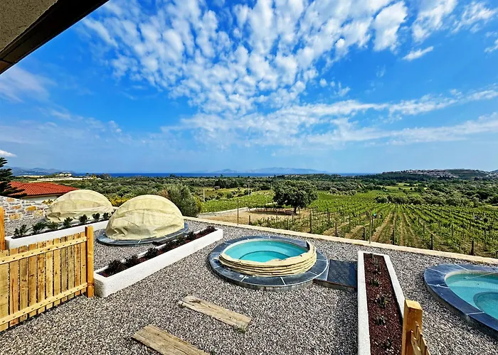 Vineyard - Over 14 Years Old Only Datça