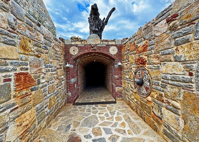 Vineyard - Over 14 Years Old Only