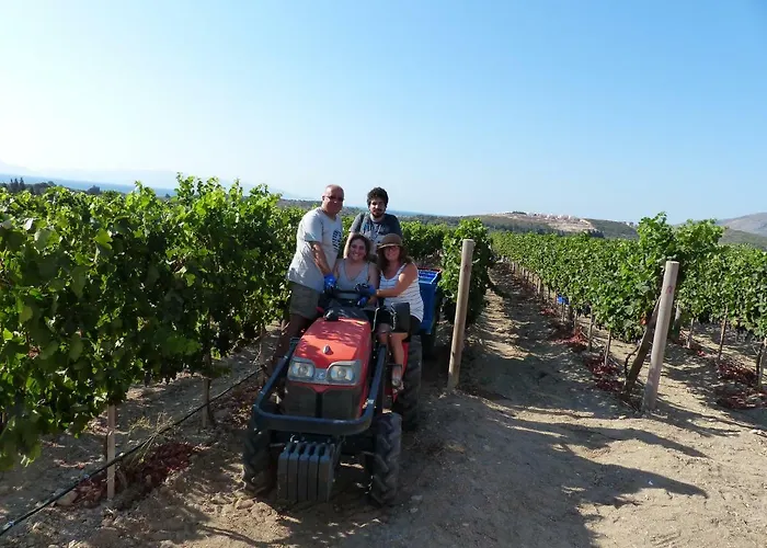 Vineyard - Over 14 Years Old Only Alojamento de Acomodação e Pequeno-almoço