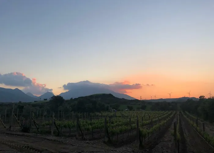 Bed & Breakfast Vineyard - Over 14 Years Old Only